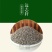 远志种子发芽率95%6斤/亩耐寒耐干旱适应能力强