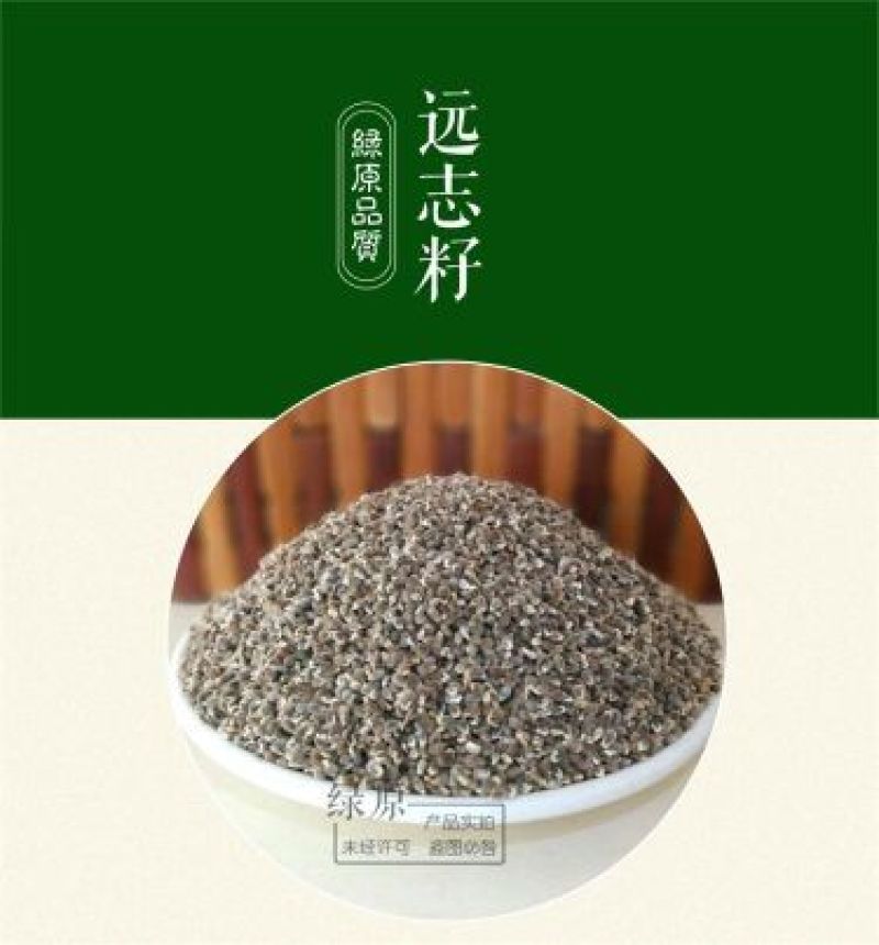 远志种子发芽率95%6斤/亩耐寒耐干旱适应能力强