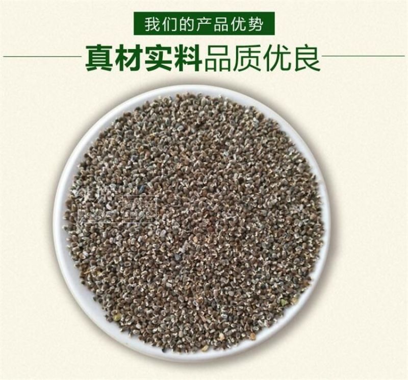 远志种子发芽率95%6斤/亩耐寒耐干旱适应能力强