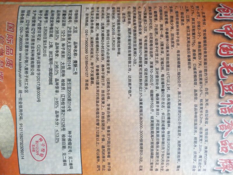 毛豆种子青酥2号