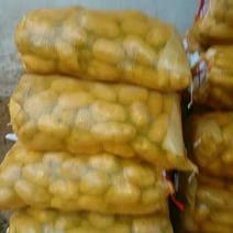 沃土，实验一，齐元丰，黄皮黄心土豆，大量有货日上货量万吨
