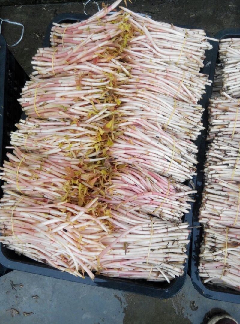 鱼腥草包装袋