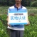西瓜番石榴苗30~50cm