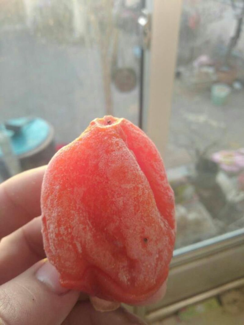 柿饼1~2两