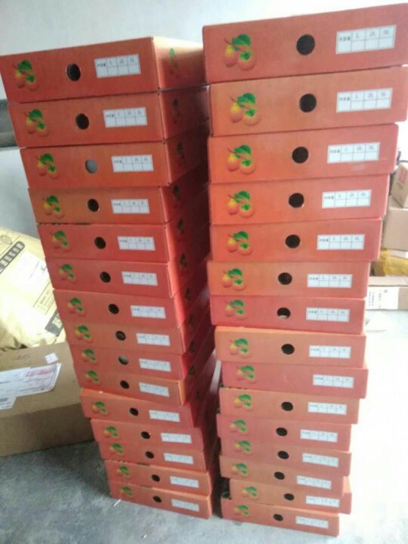 柿饼1~2两