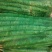 绿尖叶莴苣1~1.5斤50~60cm