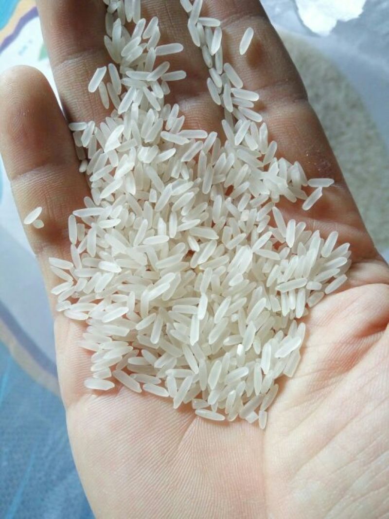 马坝油粘米袋装