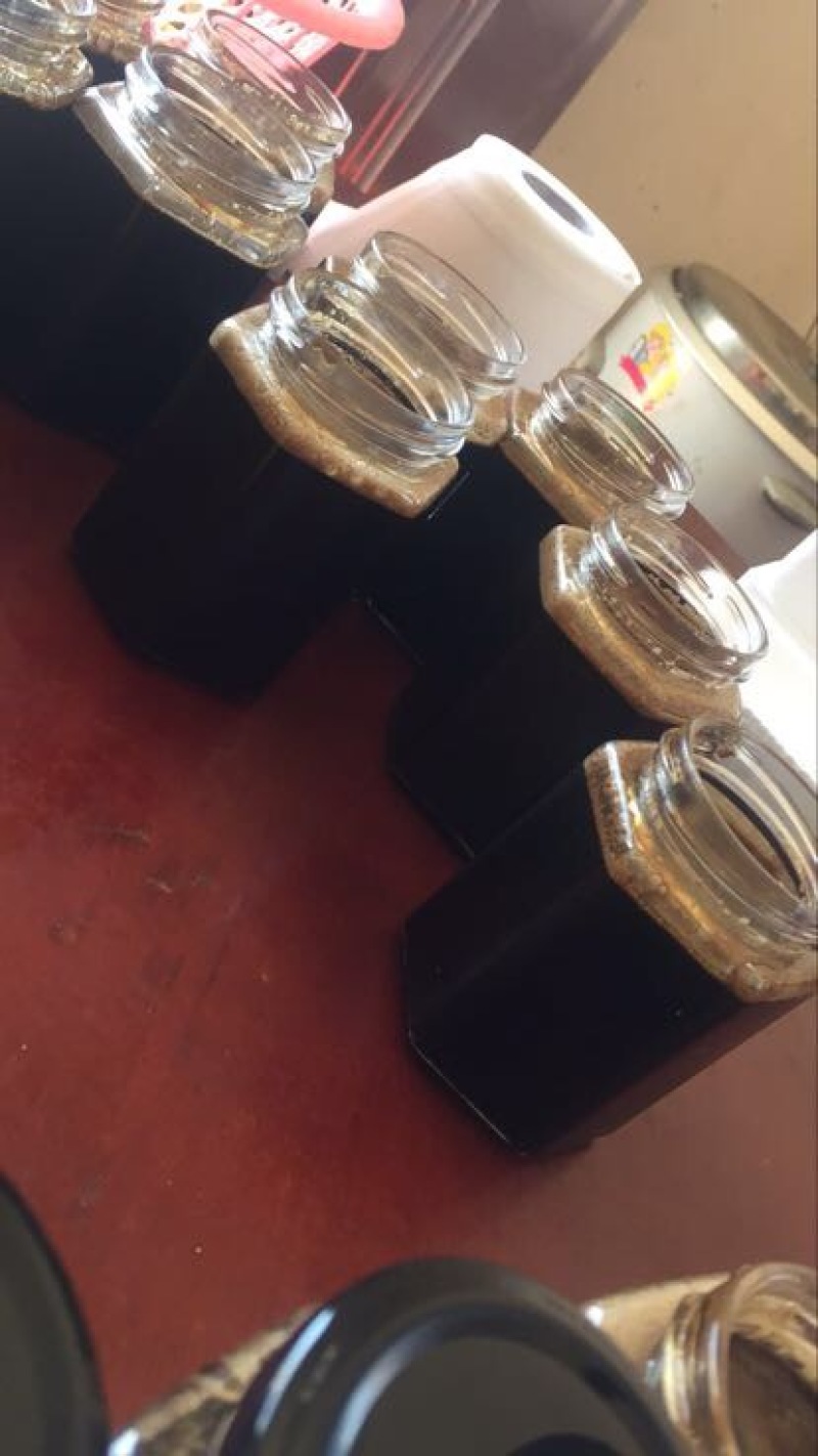 巴戟天特级
