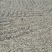 柑桔1.5~2cm