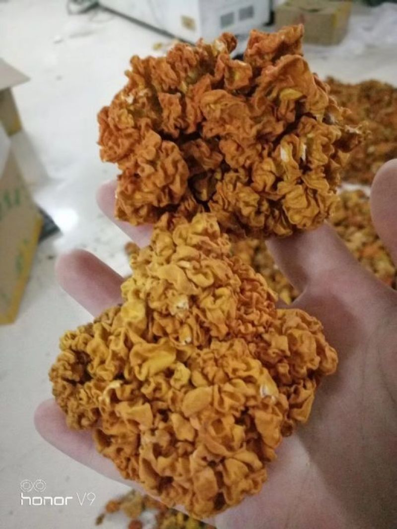 金耳