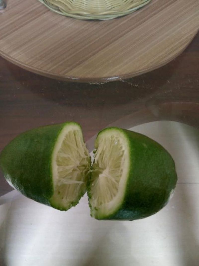 柠檬苗