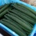 黄瓜干花带刺18~22公分