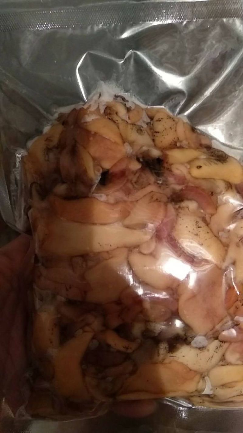鲍鱼食用