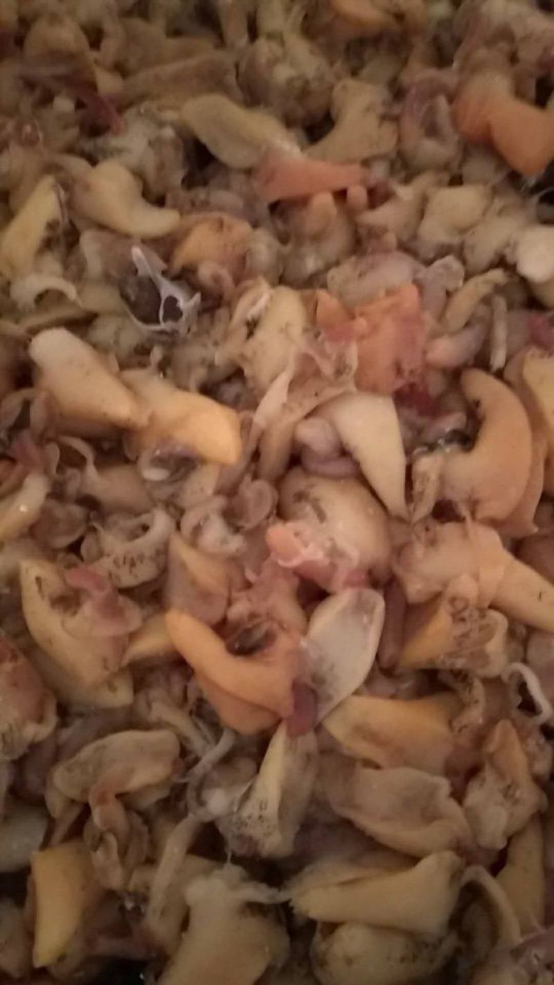 鲍鱼食用