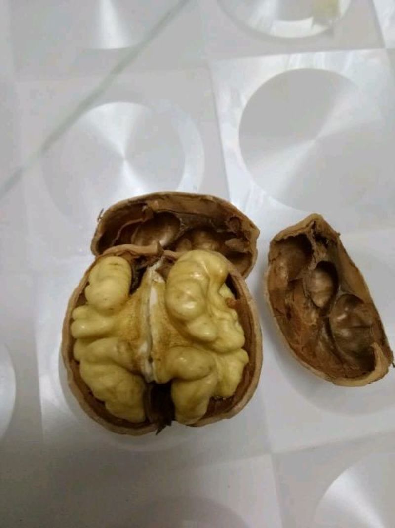 新鲜薄皮核桃坚果零食5斤/10斤大果批发