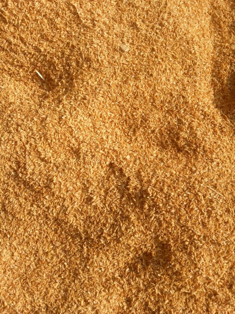 厂家供应稻壳压缩稻壳散壳做酒做醋用稻壳枕芯填充稻壳