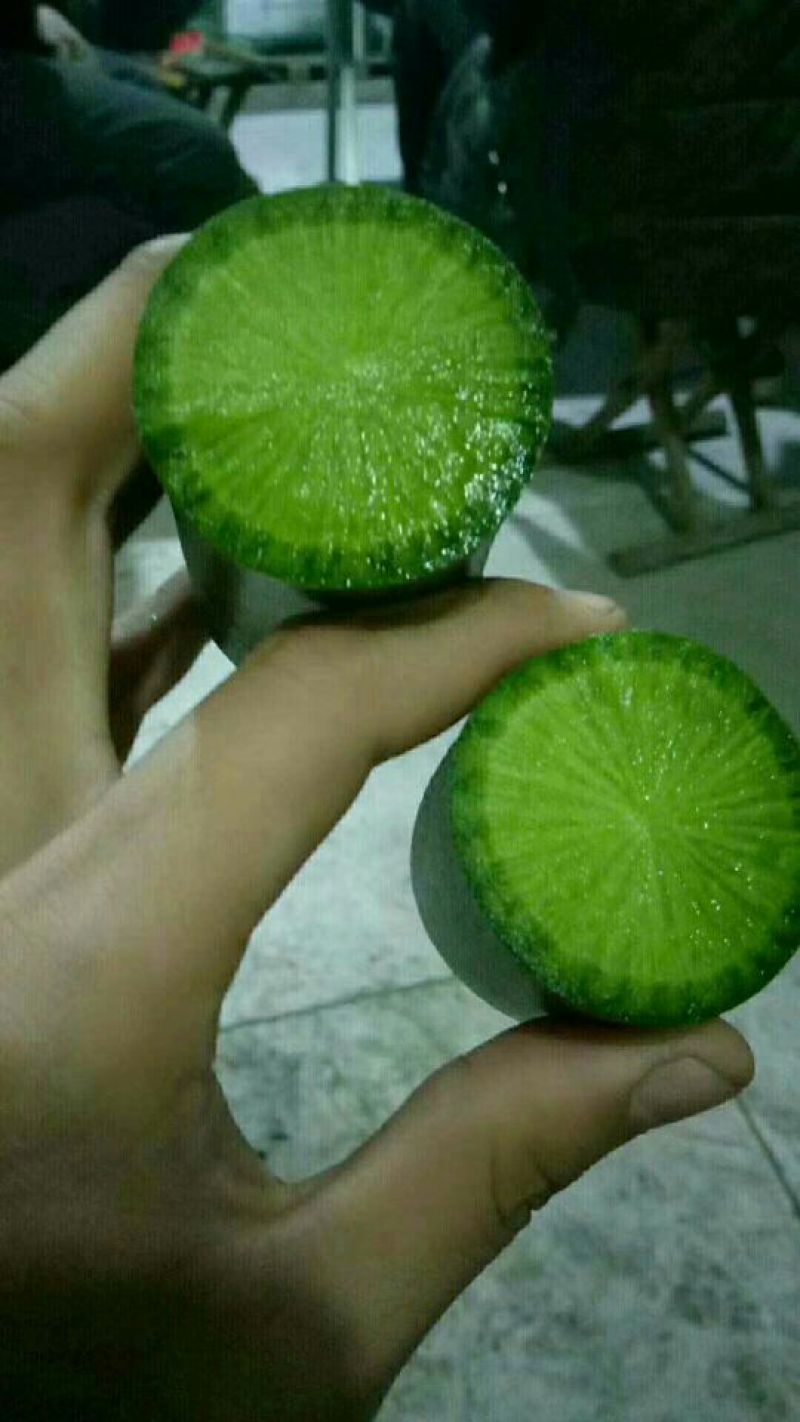 正宗潍县萝卜，产地直供，大量批发。各种品种应有尽有。