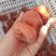 柿饼1~2两