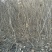 桃树4~6cm0.5~1米