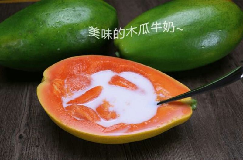海南牛奶水果木瓜非大青一件代发10斤包邮先摘现发