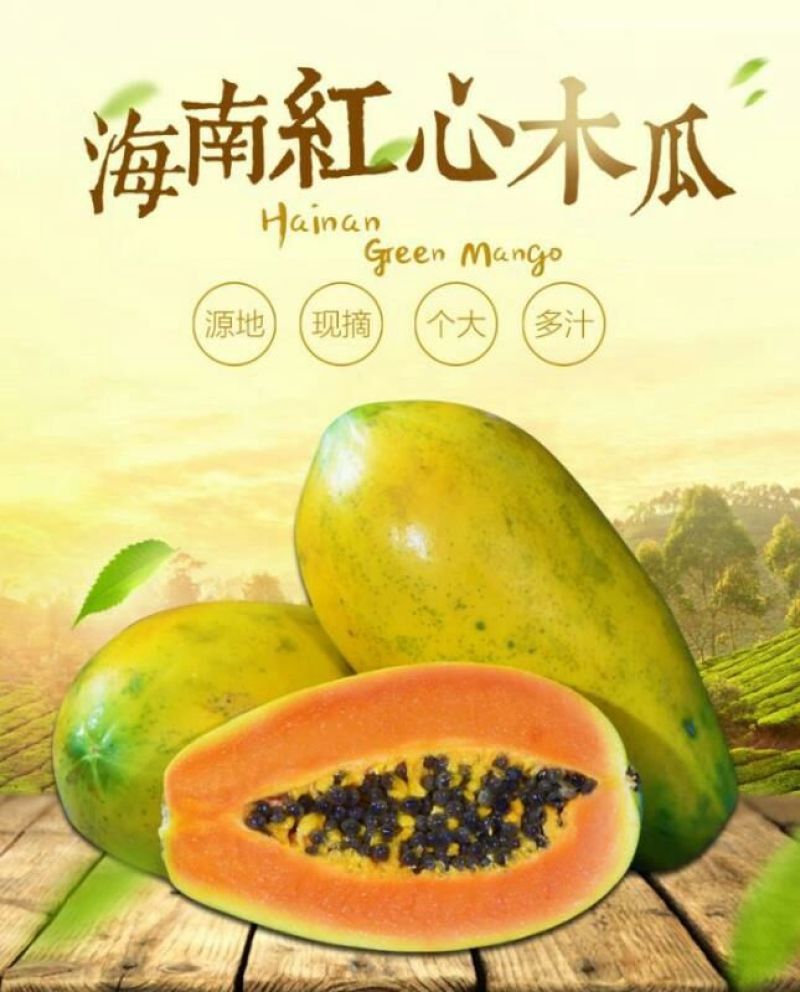 海南牛奶水果木瓜非大青一件代发10斤包邮先摘现发