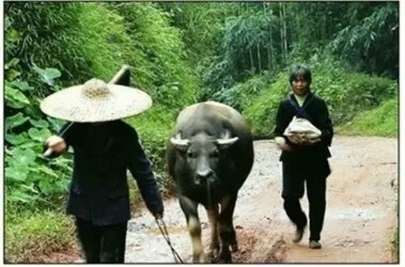 梅干菜散装