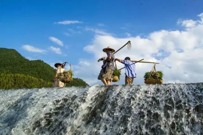 梅干菜散装