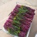 红菜苔15~20cm