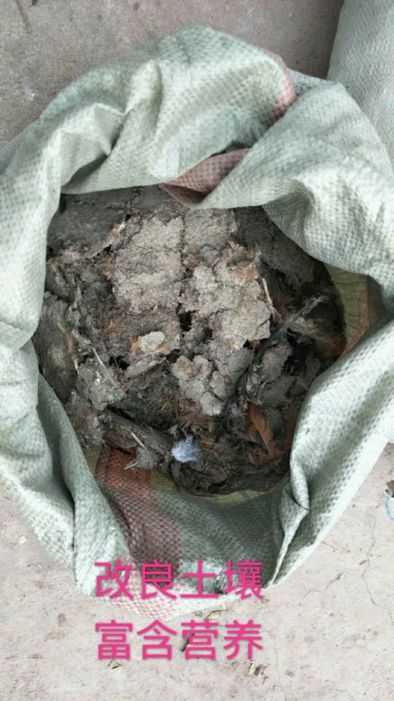 禽畜粪便，长期供应大量有货…适合用种果树类、鱼塘等。