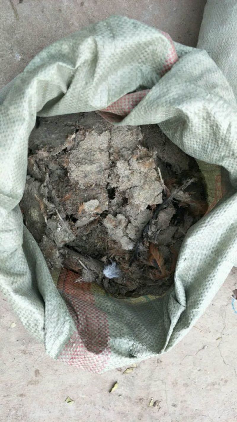 禽畜粪便，长期供应大量有货…适合用种果树类、鱼塘等。