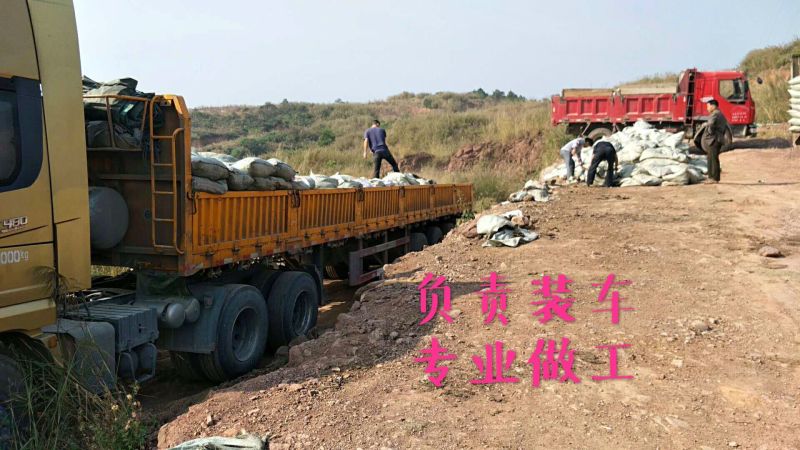 广东云浮罗定供应优质鸡粪。禽畜粪便货源充足，欢迎选购