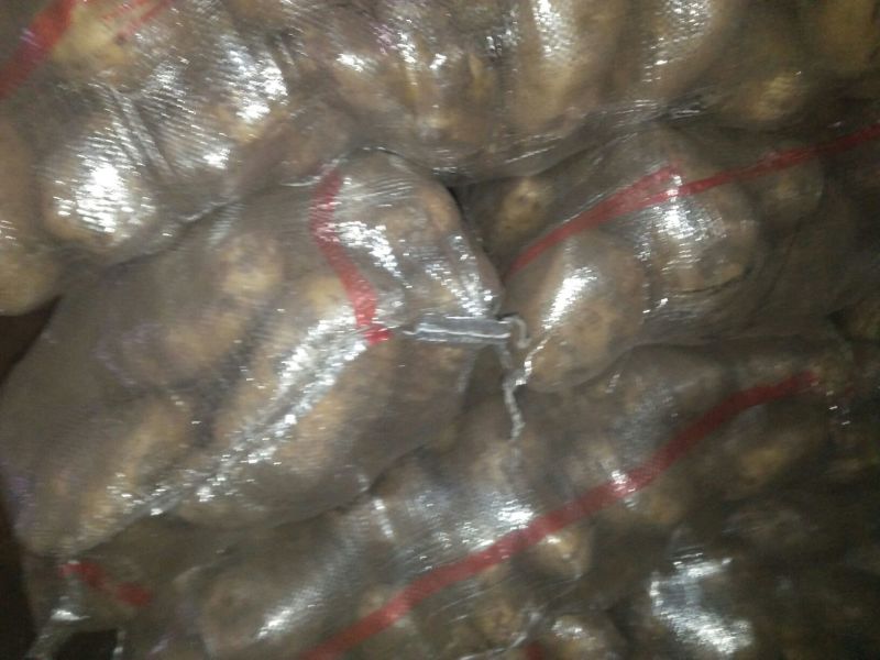 荷兰8062两以上通货
