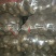 荷兰806通货2两以上
