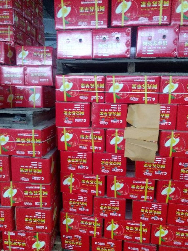 红富士冰糖心苹果最新上市了。80m以上的光果特级