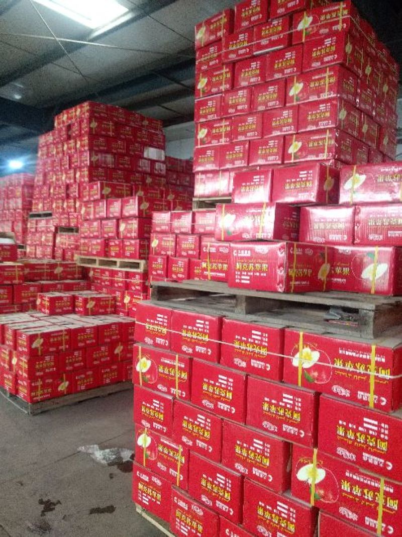 红富士冰糖心苹果最新上市了。80m以上的光果特级