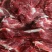 驴肉鲜货