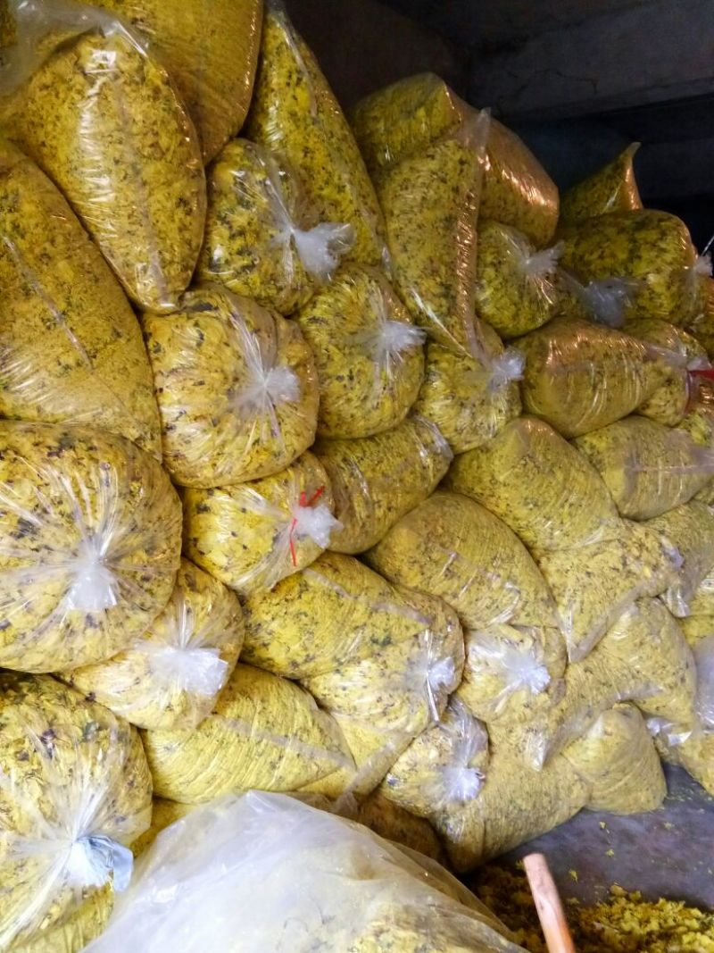 金花葵花特级