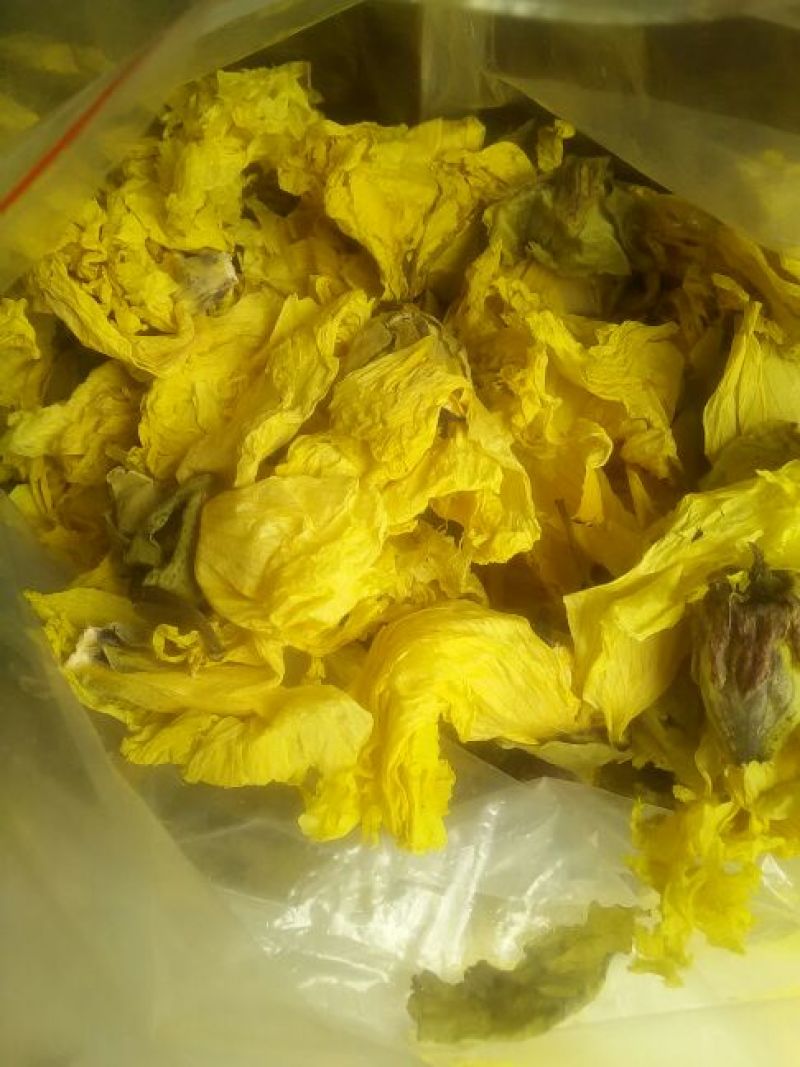 金花葵花特级