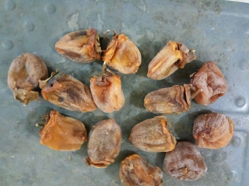 柿饼1两以下