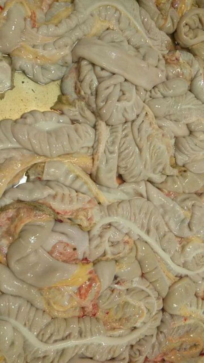 驴肉冻货