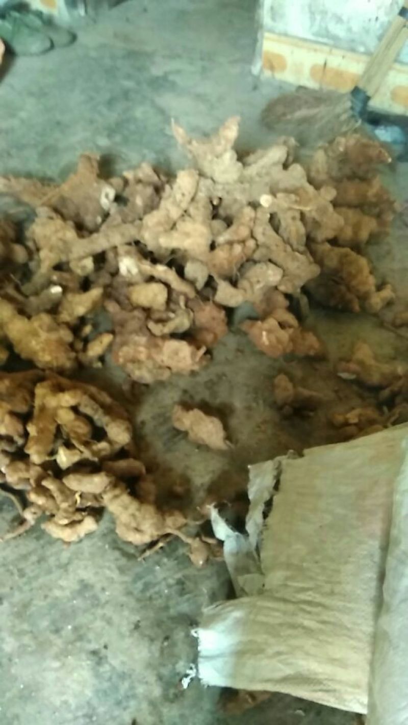 土茯苓统个