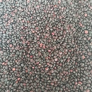 牛大力种子中叶黑豆