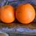 纽荷尔脐橙70~85mm，现皮薄多汁，味道甜入密