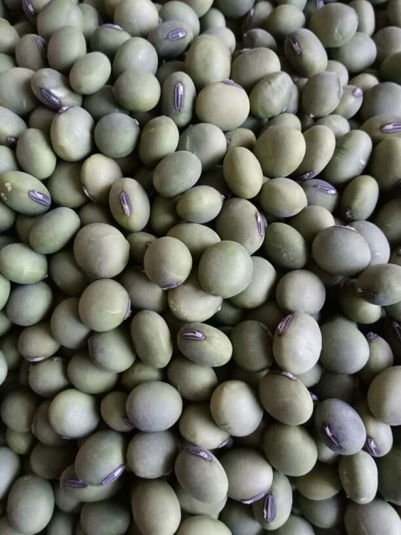 绿大豆优质双青豆里外青青豆类烧鱼最加搭档