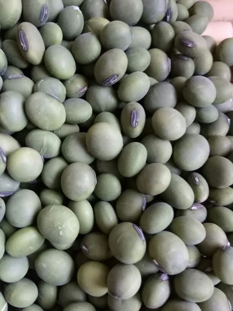 绿大豆优质双青豆里外青青豆类烧鱼最加搭档
