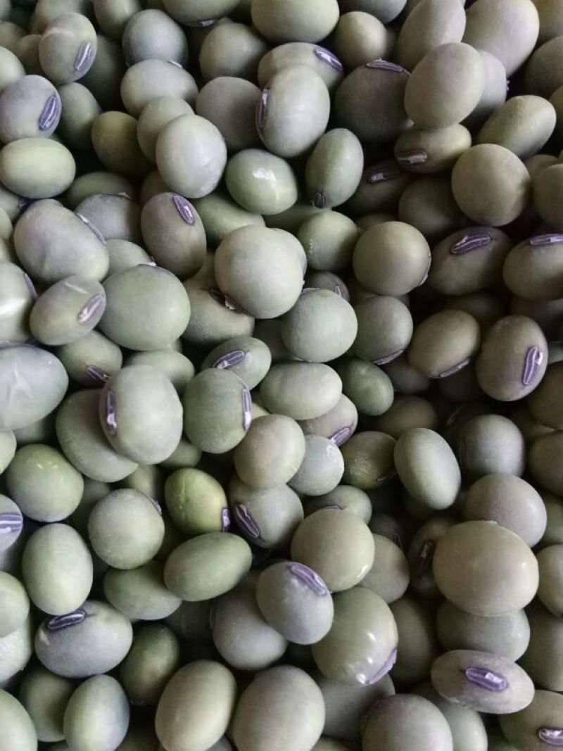 绿大豆优质双青豆里外青青豆类烧鱼最加搭档