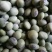 绿大豆优质双青豆里外青青豆类烧鱼最加搭档