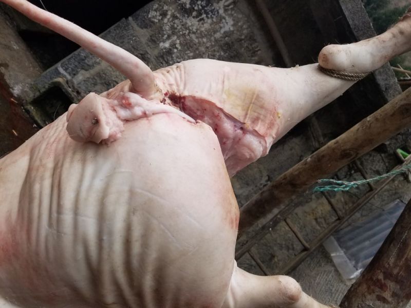 猪肉生肉