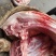 猪肉生肉