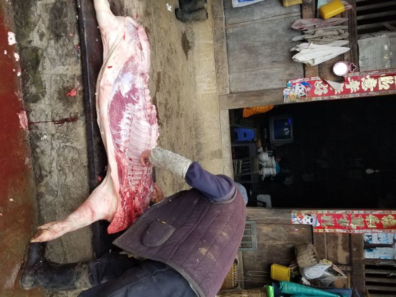 猪肉生肉
